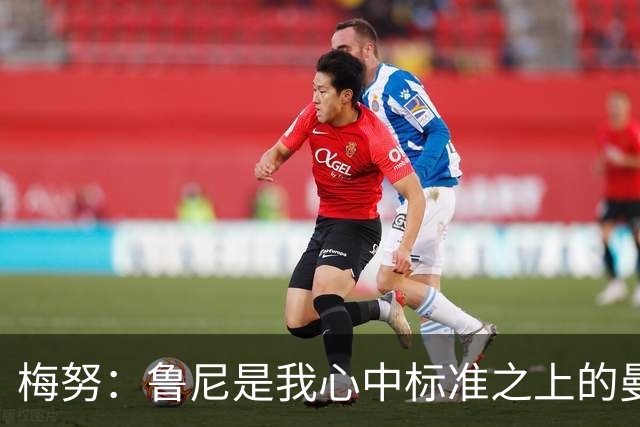 梅努：鲁尼是我心中标准之上的曼联球员 卡塞米罗和B费帮助我更多
