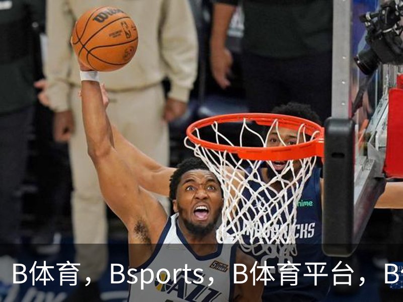 走进B体育，Bsports，B体育平台，B体育下载